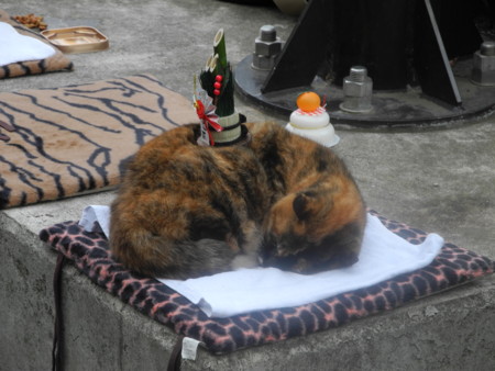 f:id:bat99:20120101140824j:image