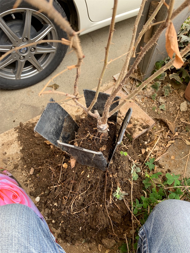 f:id:bat_warmer:20190210201509j:image