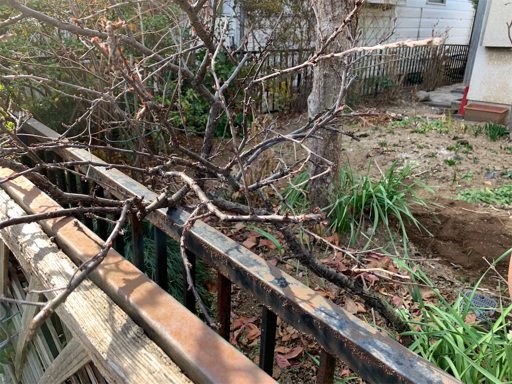 f:id:bat_warmer:20190210205323j:image