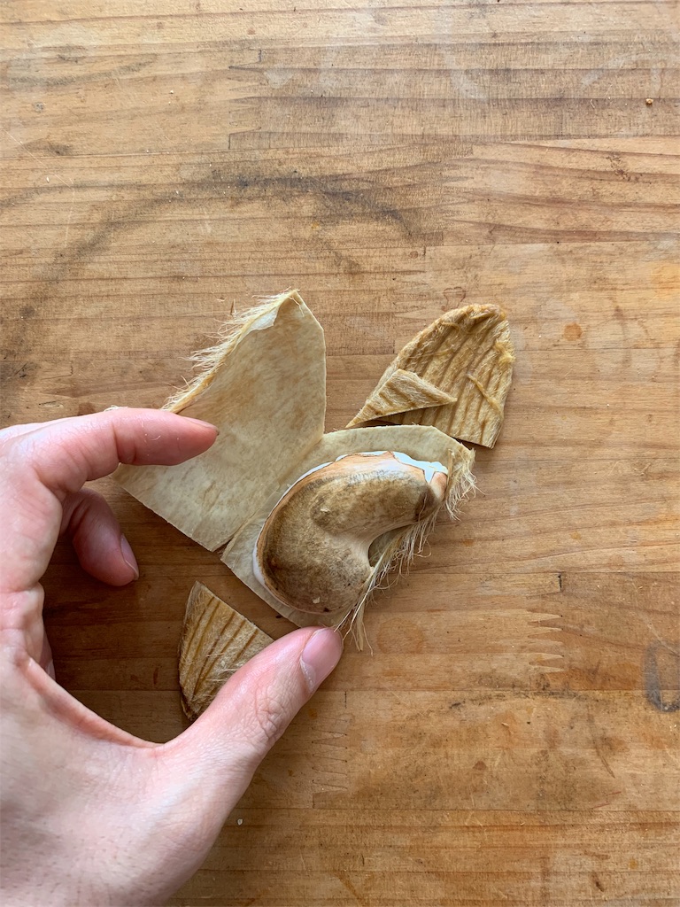 f:id:bat_warmer:20190519162239j:image
