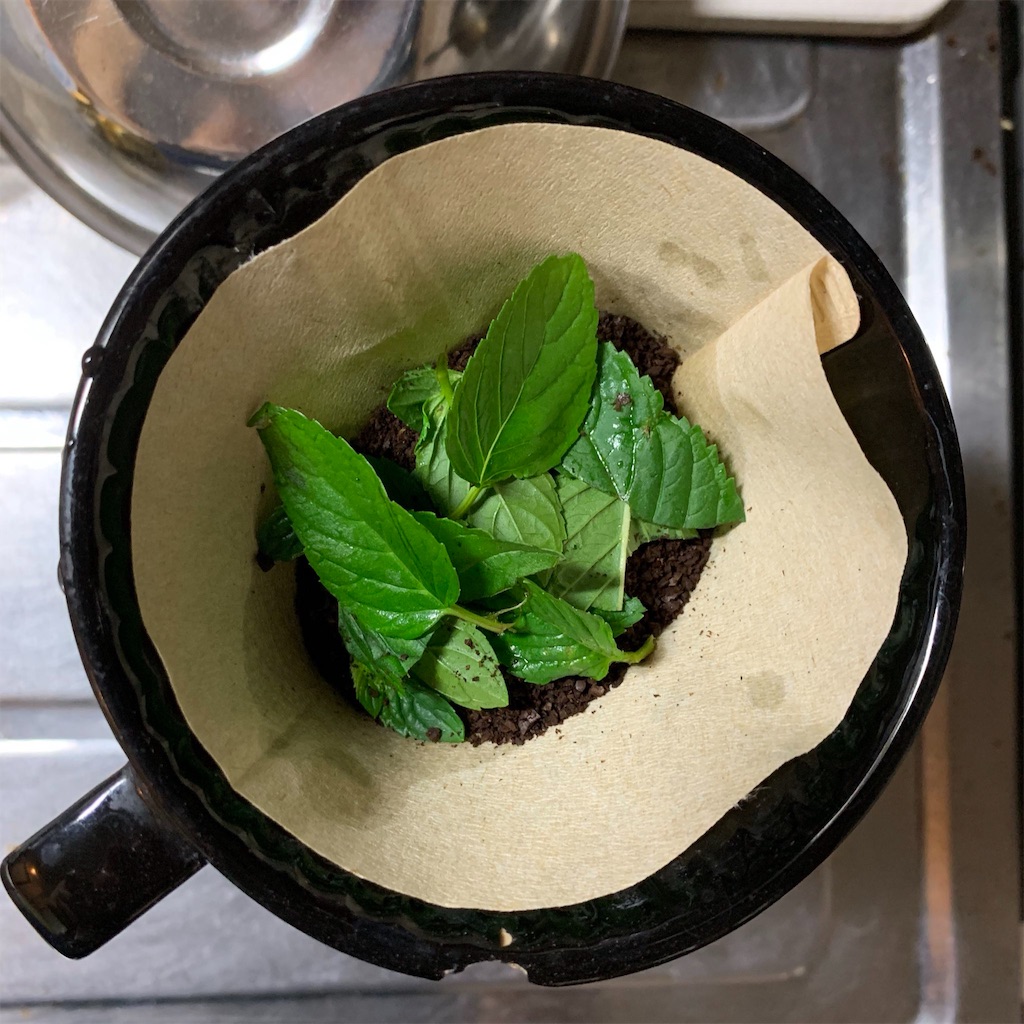 f:id:bat_warmer:20190601120930j:image