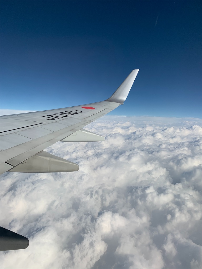 f:id:bat_warmer:20191109220912j:image