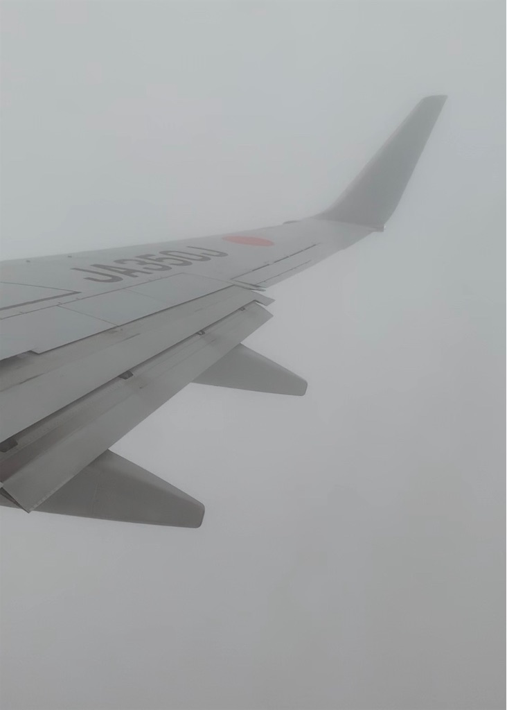 f:id:bat_warmer:20191109224303j:image