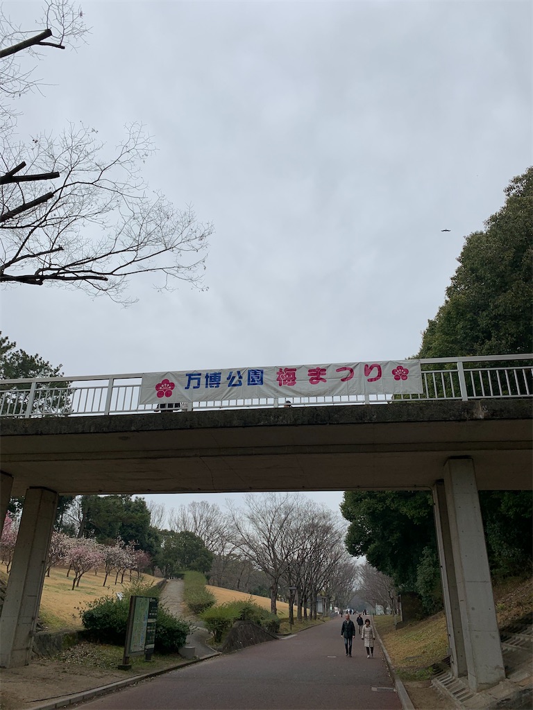 f:id:bat_warmer:20200223131738j:image