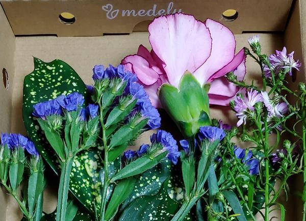 花の定期便 Medeluから新鮮なお花が届きました おひとりさまの日々