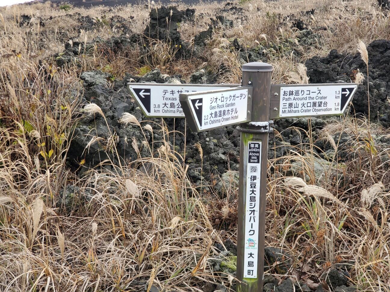 f:id:bata-ko-hi-sarada:20260107071820j:image