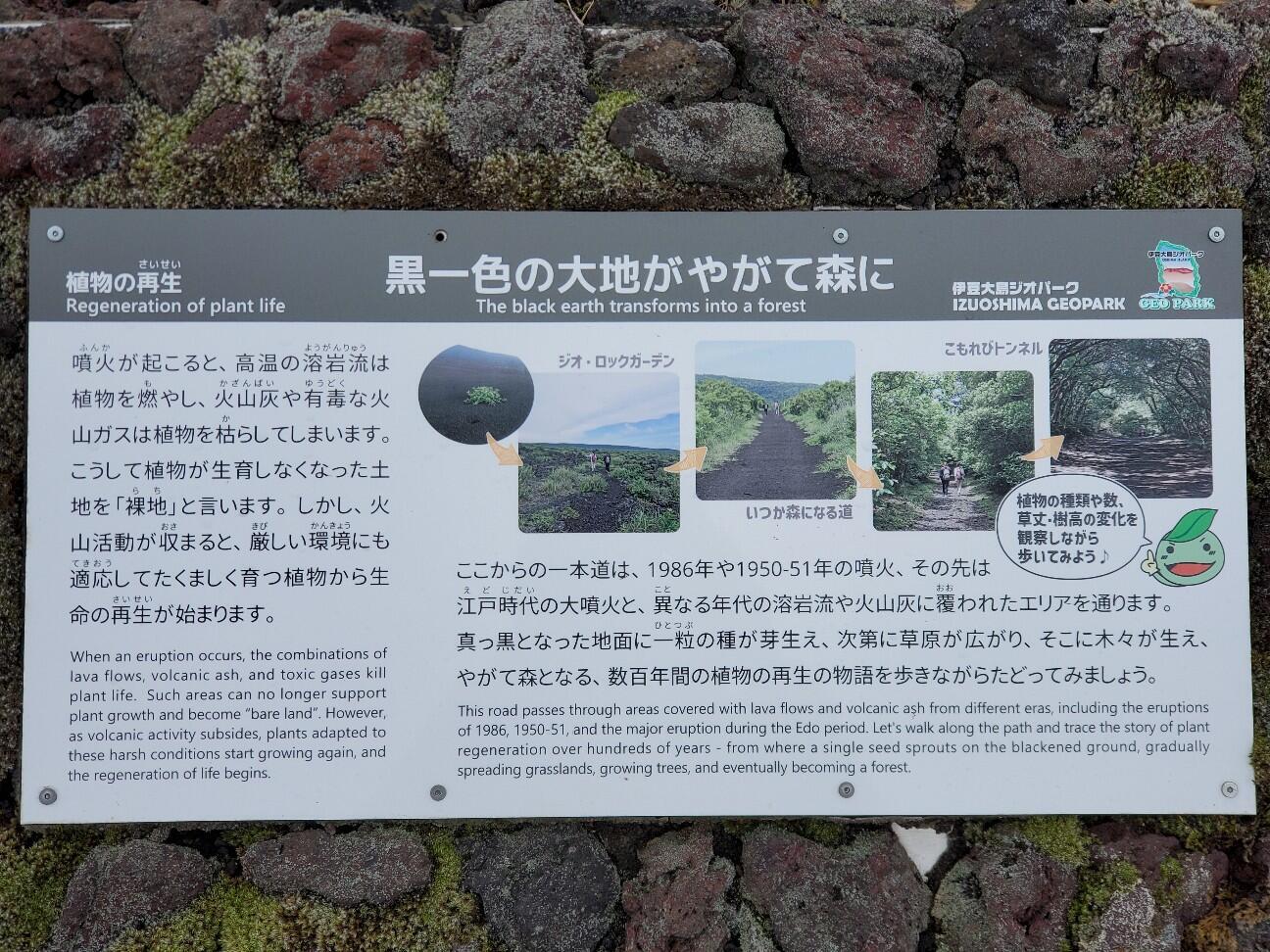 f:id:bata-ko-hi-sarada:20260107071830j:image