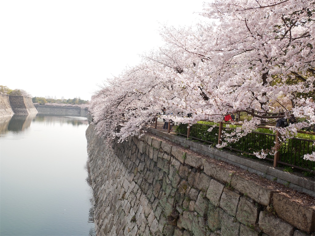 f:id:bata6:20190421112050j:image f:id:bata6:20190421112050j:image