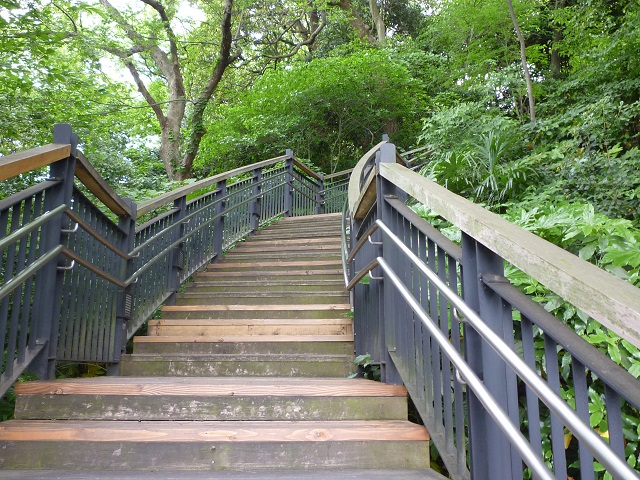 f:id:bata_sun:20160521165729j:plain f:id:bata_sun:20160521165729j:plain