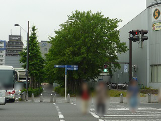 f:id:bata_sun:20160608193836j:plain