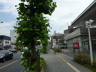 f:id:bata_sun:20160615081205j:plain