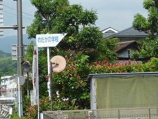 f:id:bata_sun:20160629095156j:plain f:id:bata_sun:20160629095156j:plain