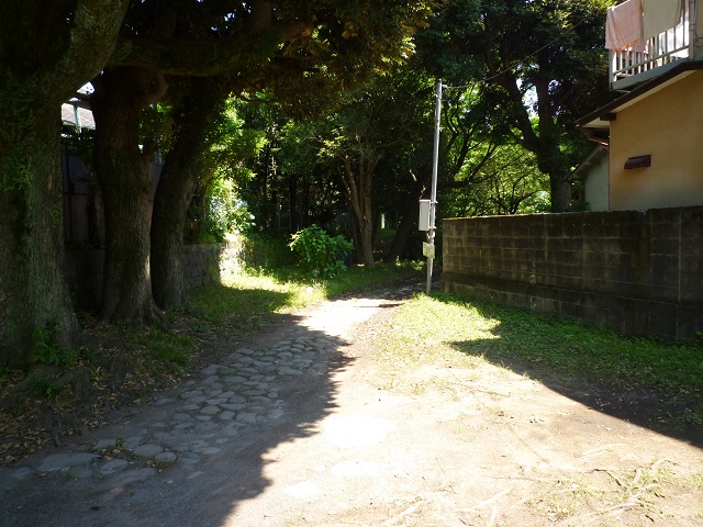 f:id:bata_sun:20160630133003j:plain f:id:bata_sun:20160630133003j:plain