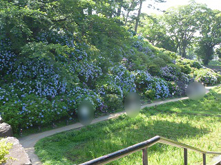 f:id:bata_sun:20160630200609j:plain f:id:bata_sun:20160630200609j:plain