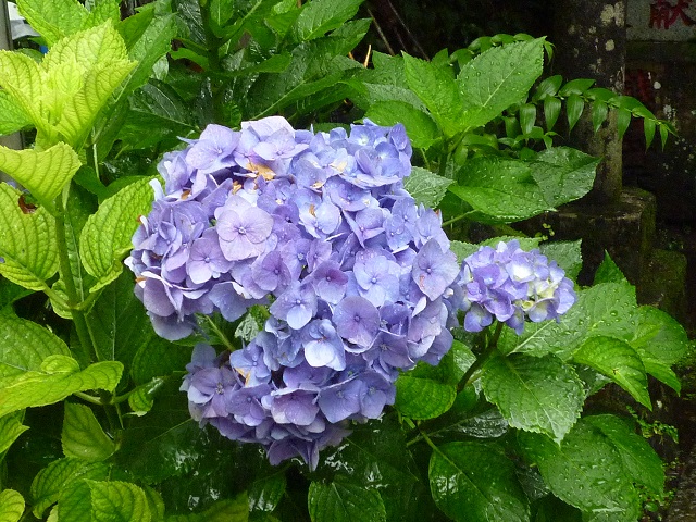 f:id:bata_sun:20160702070754j:plain