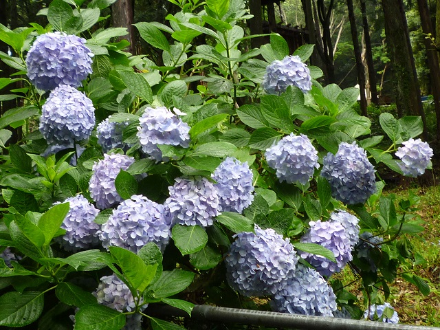 f:id:bata_sun:20160702080845j:plain