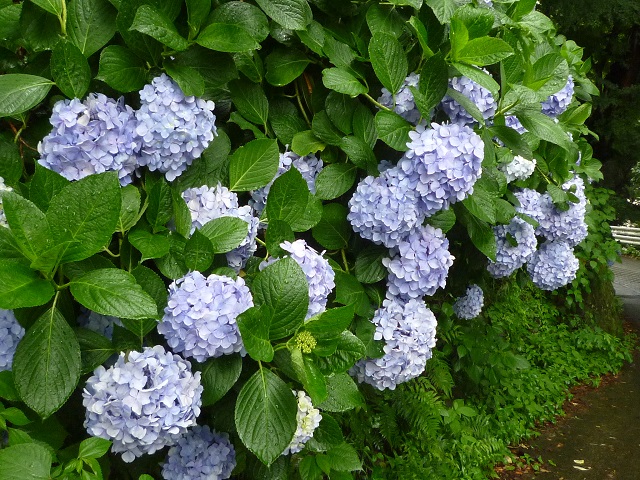 f:id:bata_sun:20160702081321j:plain
