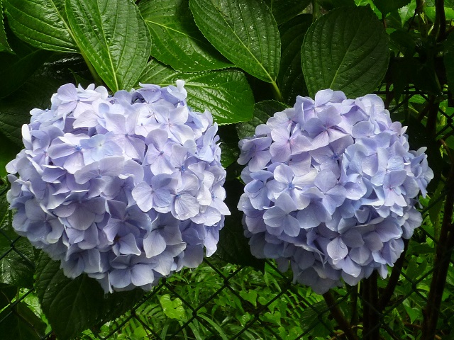 f:id:bata_sun:20160702081335j:plain