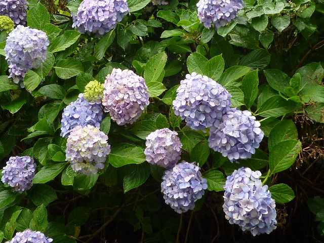 f:id:bata_sun:20160702082007j:plain