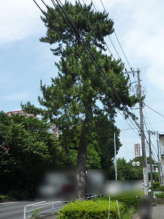 f:id:bata_sun:20160704194444j:plain