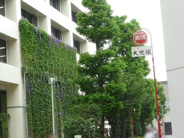 f:id:bata_sun:20160707172622j:plain f:id:bata_sun:20160707172622j:plain