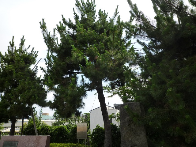 f:id:bata_sun:20160708151058j:plain