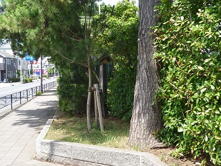 f:id:bata_sun:20160711182942j:plain