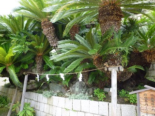 f:id:bata_sun:20160723212637j:plain f:id:bata_sun:20160723212637j:plain