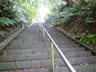 f:id:bata_sun:20160723213821j:plain f:id:bata_sun:20160723213821j:plain