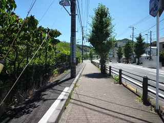 f:id:bata_sun:20160802143303j:plain