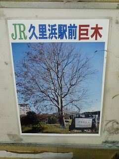 f:id:bata_sun:20160802145155j:plain