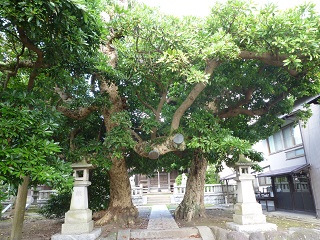 f:id:bata_sun:20160805082639j:plain f:id:bata_sun:20160805082639j:plain