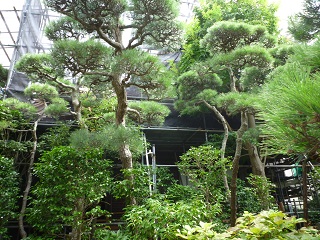 f:id:bata_sun:20160806072853j:plain f:id:bata_sun:20160806072853j:plain