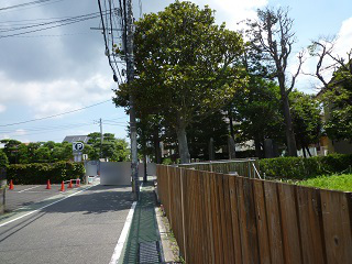 f:id:bata_sun:20160806075357j:plain f:id:bata_sun:20160806075357j:plain