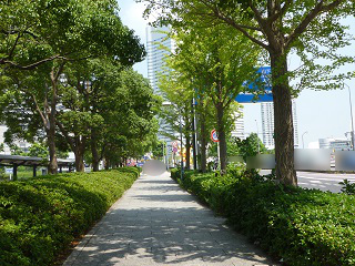 f:id:bata_sun:20160811175534j:plain f:id:bata_sun:20160811175534j:plain