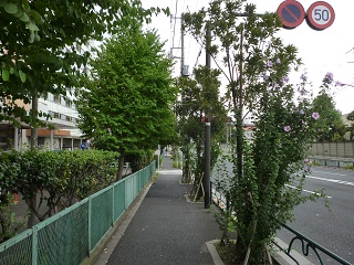 f:id:bata_sun:20160817165913j:plain