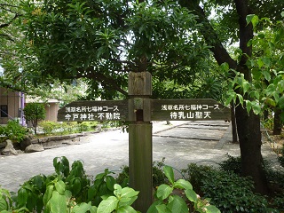 f:id:bata_sun:20160818185448j:plain f:id:bata_sun:20160818185448j:plain