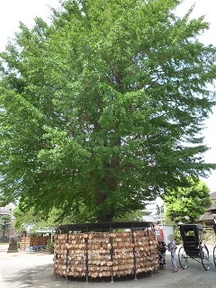 f:id:bata_sun:20160818210509j:plain f:id:bata_sun:20160818210509j:plain