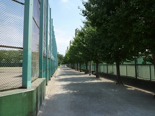 f:id:bata_sun:20160818215406j:plain f:id:bata_sun:20160818215406j:plain