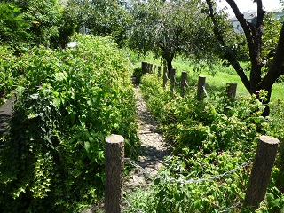 f:id:bata_sun:20160902192730j:plain