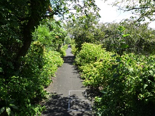 f:id:bata_sun:20160902192743j:plain