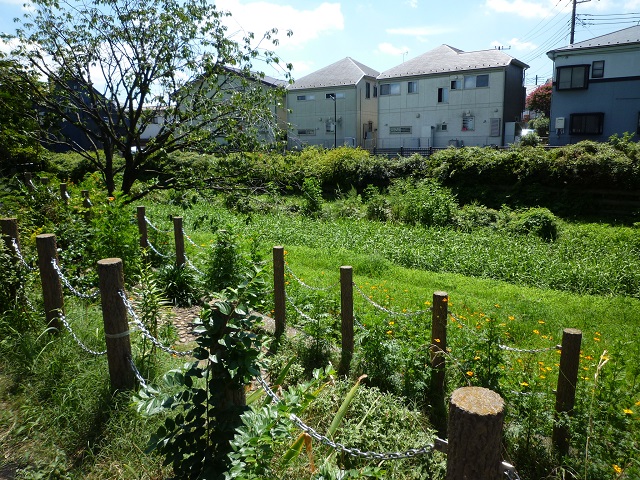 f:id:bata_sun:20160902192907j:plain