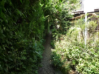 f:id:bata_sun:20160902195021j:plain