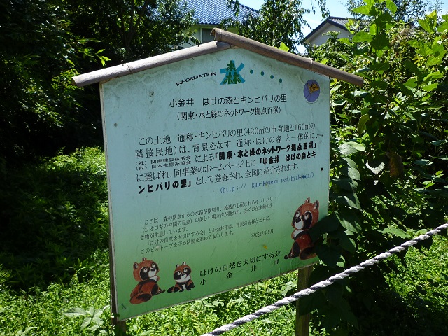 f:id:bata_sun:20160903054731j:plain