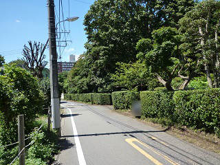 f:id:bata_sun:20160903055639j:plain