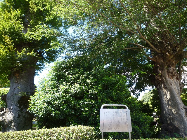 f:id:bata_sun:20160903060810j:plain