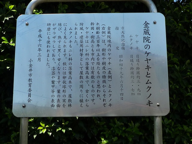 f:id:bata_sun:20160903060822j:plain