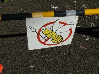 f:id:bata_sun:20160904101151j:plain