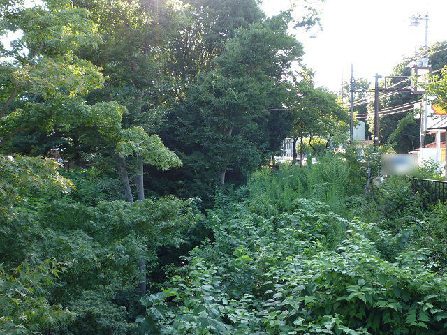 f:id:bata_sun:20160904105202j:plain