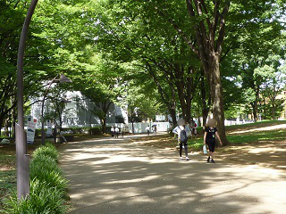 f:id:bata_sun:20160907145801j:plain